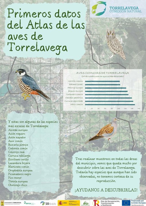 Atlas de las aves de Torrelavega (1)