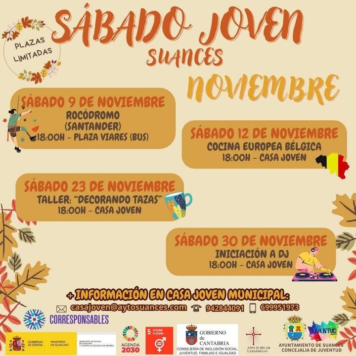 Cartel Sábado Joven Noviembre