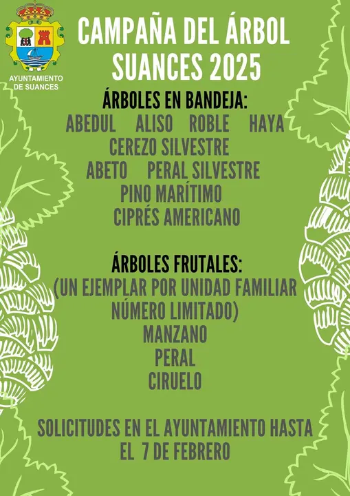 Campaña del árbol 2025 Ayto Suances